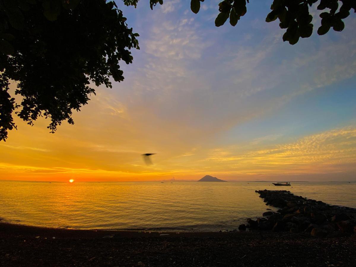 Hotel Murex Dive Manado