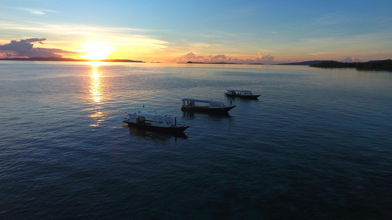 Murex Dive Manado