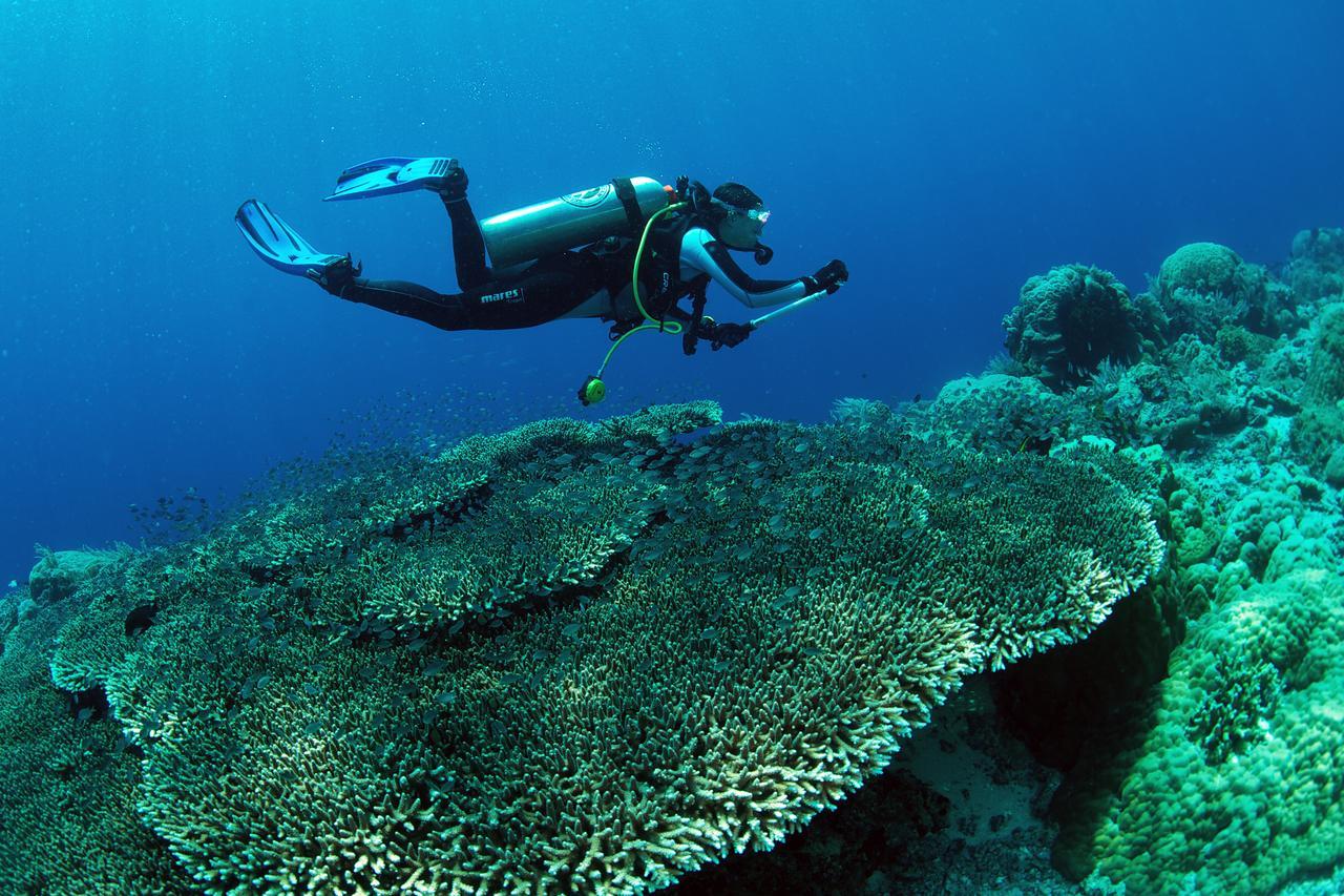 Hotel Murex Dive 3*